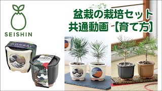 盆栽栽培セット共通