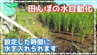 田んぼの水自動化！！これで自動で水が入るようになりました