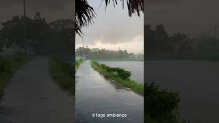 Beautiful rain day, rain day in Bangladeshi village #shorts #walkingrain #nature