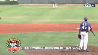 20140329林威廷NP