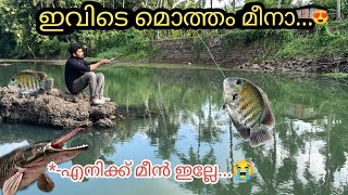 പിടിച്ച മീനെ എല്ലാം അരാപൈമ തിന്നു...😳 | rod fishing | feeding monster fishes | arapaima strike