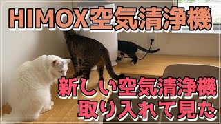 新しい空気清浄機を取り入れてみた。猫興味津々からの、即興味なしへ…（HIMOX）