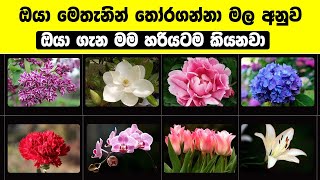 ඔයා මෙතැනින් තෝරගන්නා මල අනුව ඔයා ගැන මම හරියටම කියනවා | About you According to Flower | Sinhala