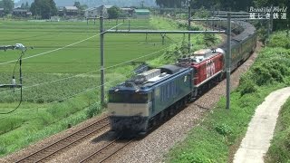 ｶｼｵﾍﾟｱｸﾙｰｽﾞ　EF64+EF81重連牽引　上越線越後堀之内駅ー北堀之内駅 2016.8.6     V 754