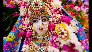 श्री हित राधा केली कुंज राधा नाम कीर्तन 20/04/25#shyamdarshan #hindudeity