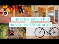 Consejos para vivir barato en Dinamarca