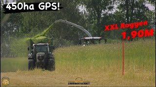 XXL Roggen 1,90M hoch! LU Brummer bei der 450ha Ganzpflanzensilage - GPS Ernte in Brandenburg 2023