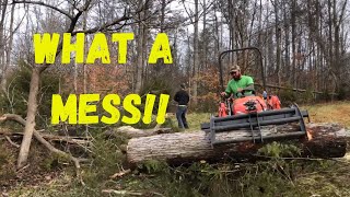 Huge Tree cleanup with Kubota LX2610 and John Deere 5200