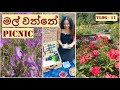 Christchurch Botanic Gardens | Picnic on 31st | New Zealand | Vlog 11 | සිංහල vlog | Sinhala vlog