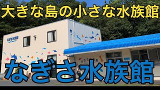 【周防大島（屋代島）】なぎさ水族館〜日本一小さい水族館？【山口県屋代島（周防大島町）】2023年9月17日