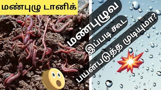 மண்புழு குளியல் நீர் | மண்புழு டானிக் | வெர்மி வாஷ் | நீங்களே செய்யலாம் |