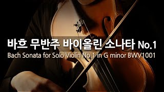 바흐 무반주 바이올린 소나타 No.1 G단조 BWV1001 | Bach Sonata for Solo Violin No.1 in G minor BWV1001 | 이작 펄만