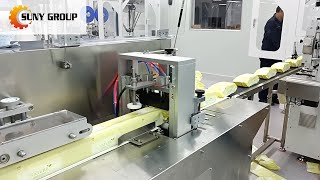 From Raw Materials to Finished Wipes: SYT-20 Wet Tissue Machine in Korea