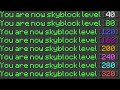 How Many Skyblock Levels Can You Get In 24 Hours?