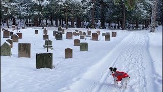 Stockholm Walks: World Heritage Cemetary in Stockholm (Skogskyrkogården)