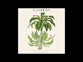 caveboy raconteur official audio