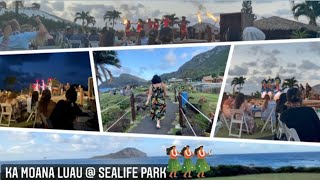 Moana Luau at Sea Life Park Hawaii 2021 // what to expect at a Luau after reopening