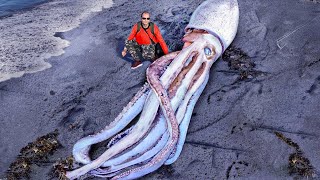 What They Found On The Beach Surprise Entire World