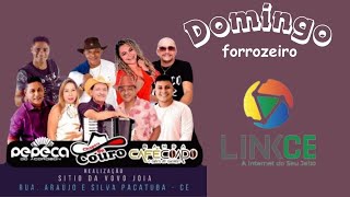 Domingo forrozeiro com pepeka do acordeon-café coado e chapeu de couro