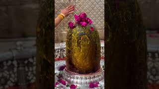 तू ही माता तू ही पिता है ईश्वर, शॉर्ट स्टेटस महाकाल #mahakal #ujjain #jyotirling #vlog