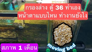 ระบบกรองล่างทำเอง ของตู้ 36 #เน้นกำจัดของเสียก่อนลงสู่ระบบ