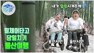 [이지트립_울산] 휠체어타고 당일치기 울산여행(용인친구 힐링시켜주는 울산친구)