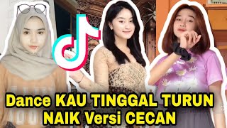 Download Mp3 KAU TINGGAL TURUN NAIK Dance TikTok