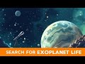 Are We Alone? The Thrilling Search for Exoplanet Life 🌌