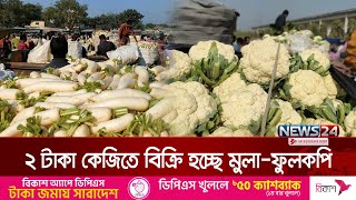 বগুড়ায় ২ টাকা কেজিতে বিক্রি হচ্ছে মুলা-ফুলকপি | Vegetable | News24