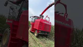 YkSGuY : Small Scale Farming Machine Operation!! - Pokaz maszyn rolniczych!! #farming #shorts