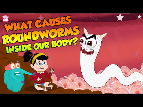 What are three types of roundworms?