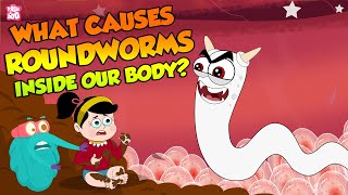 A Roundworm Parasite | What Causes Roundworms Inside our Body? | The Dr. Binocs Show