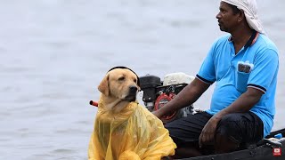 Paws are enjoying Chempakulam Moolam Boat Race 2023