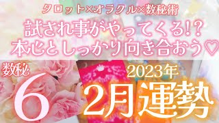 【2023年2月】数秘6運勢リーディング～タロット×オラクル×数秘術　#タロット占い#占い #数秘術 #2023年運勢