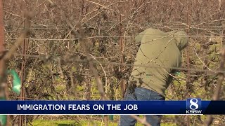 California farm workers working under fear of mass deportations