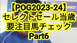 【POG2023-24】セレクトセール当歳　要注目馬チェック　Part6