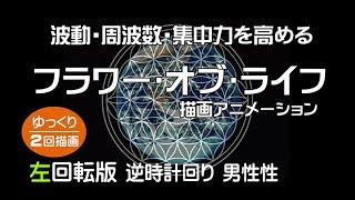 [ゆっくり描画]波動･周波数を高めるフラワー･オブ･ライフL　Flower of Life 「左回転」