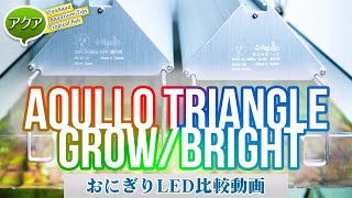 水槽ライトはGROWとBRIGHTどっち選ぶ？おにぎりLED（アクロトライアングル）の比較 #アクアリウム #チャーム 【ビバアクア】