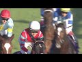 【ブランドcm】かつて、時代を統べた馬がいた。【競馬mad】【jra cmパロディ】