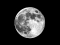 Nachtvogel - Full moon