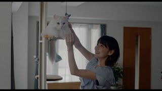 安達祐実×倉科カナ×渡邊圭祐 主演 映画『三日月とネコ』本編映像