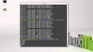I/O Redirection (Command Line)