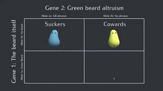 When the Green Beard Altruism is Sus