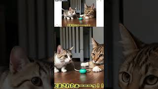 【ねこや探訪】AIどうした！？ Vol.10【ボツAI画像】猫にまつわる画像【特別編】ダメだこりゃ(Shorts)リミックス