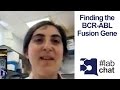 Detecting CML (Chronic Myeloid Leukemia) w/ Digital PCR | #LabChat