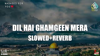 Dil Hai Ghamgeen Mera (Slowed+Reverb) By Ghulam Mustafa| @NasheedForYou7