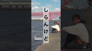 【ヘチ釣り】黒鯛…何や知らんけど！#shorts