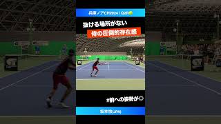 #前へ詰めるサムライ【兵庫ノアCH2024/Q2R】坂本怜(JPN) #shorts #テニス #tennis