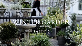 Creating a Winter Garden Part 2. What Went Well and What Went Wrong....