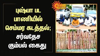 Red sandalwood | புஷ்பா பட பாணியில் செம்மர கடத்தல்; சர்வதேச கும்பல் கைது | Sun News